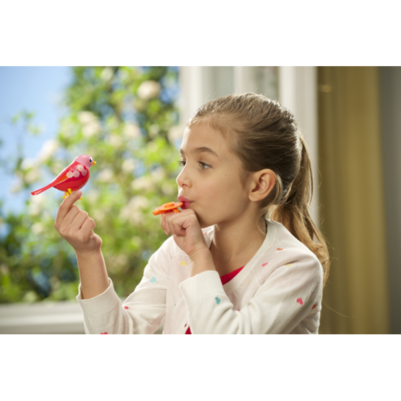 Digi Birds - Τα πουλάκια