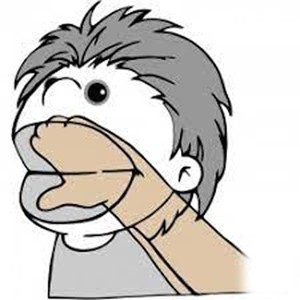 Κούκλα κουκλοθεάτρου -Bibo -SesameStreet -52εκ.