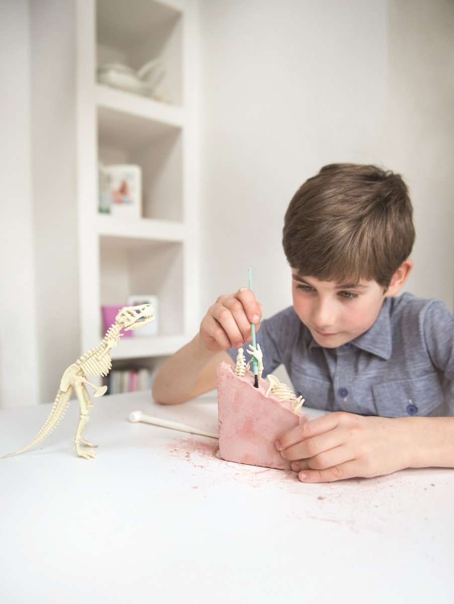 Ανασκαφή δεινοσαύρου -  Τυραννόσαυρος REX
