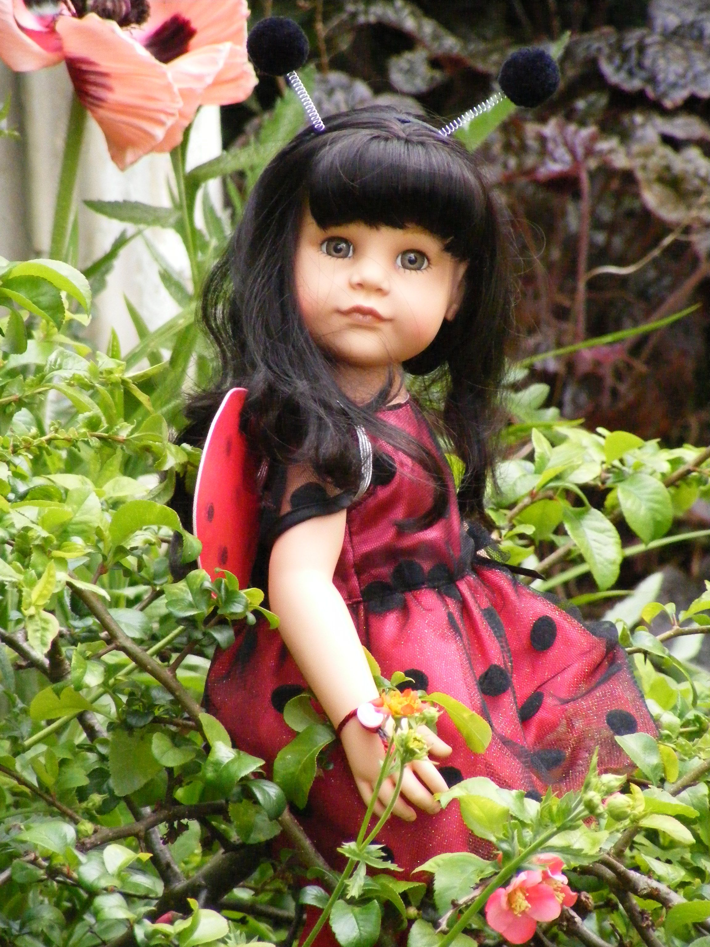 Κούκλα Goetz - Hanna Ladybug 50εκ. + φόρεμα